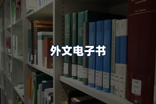 外文电子书